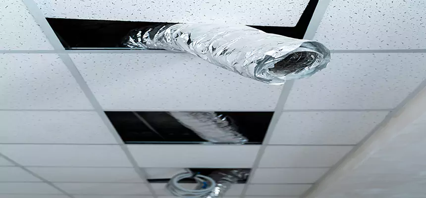 Our Air Duct Pet Hair Removal Services in Elkhart, IN