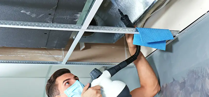 Our Air Duct Rodent Removal Services in Elkhart, IN