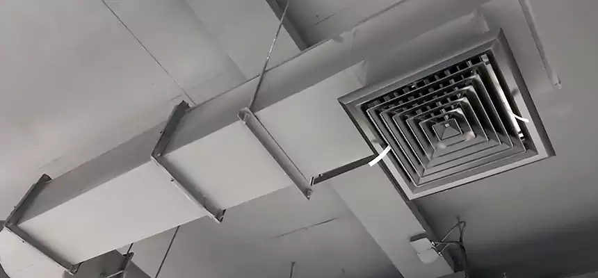 Our Pest Removal From Ducts Services in Elkhart, IN