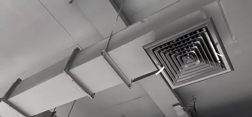 Our Rodent Droppings In Vents Services in Elkhart, IN