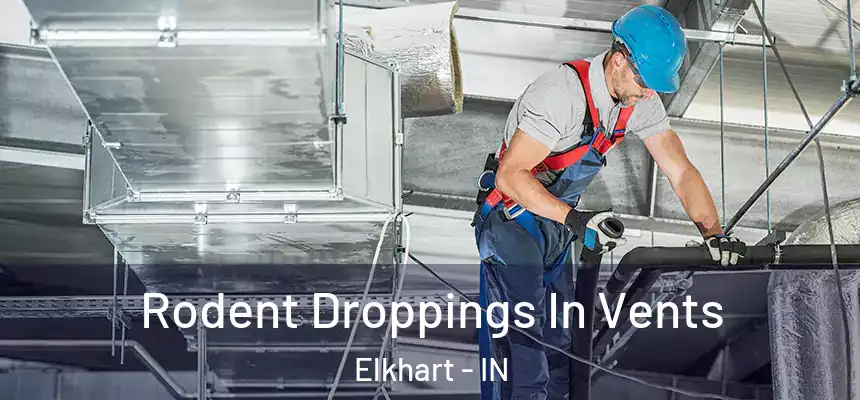  Rodent Droppings In Vents Elkhart - IN