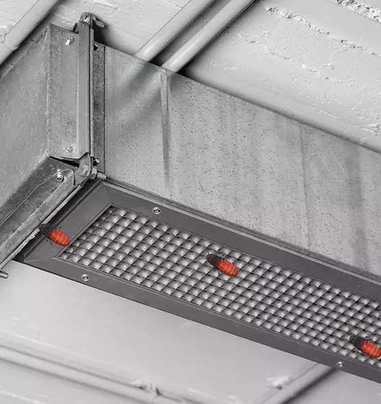 Affordable Insect Removal from Air Ducts in Elkhart, IN