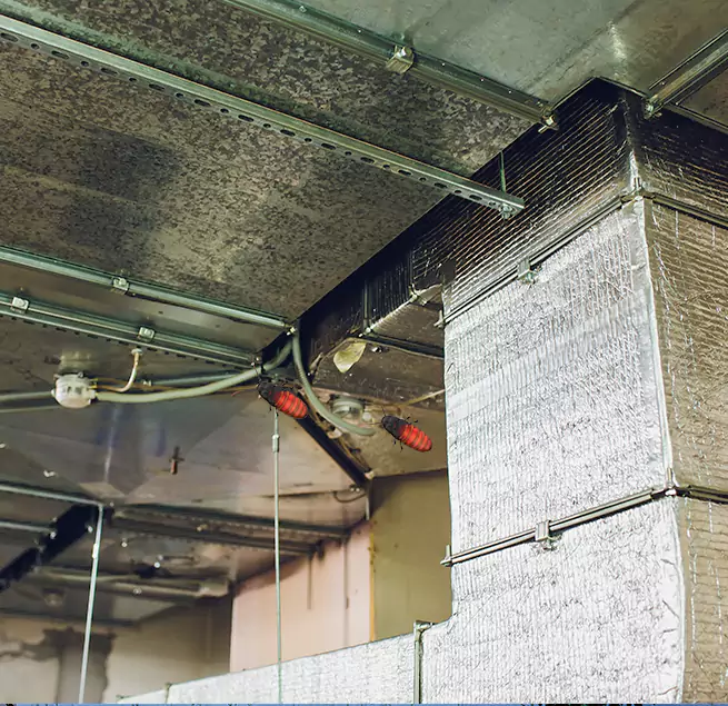 Why Homeowners & Businesses Trust Us in Elkhart, IN?