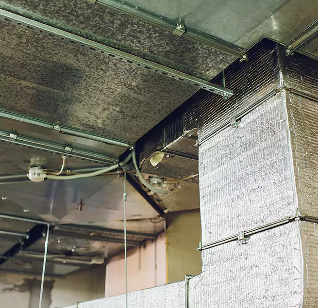 Why Homeowners & Businesses Trust Us in Elkhart, IN?